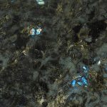 LABDORITE-BLUE - Marble Countertops In MD