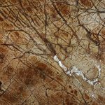 RAINFOREST-BROWN - Marble Countertops In MD